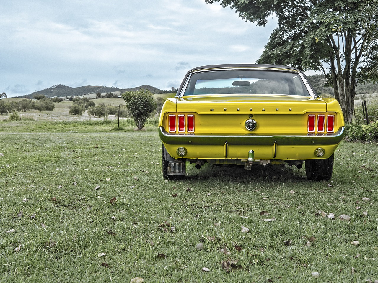 mustang-1184505_1280