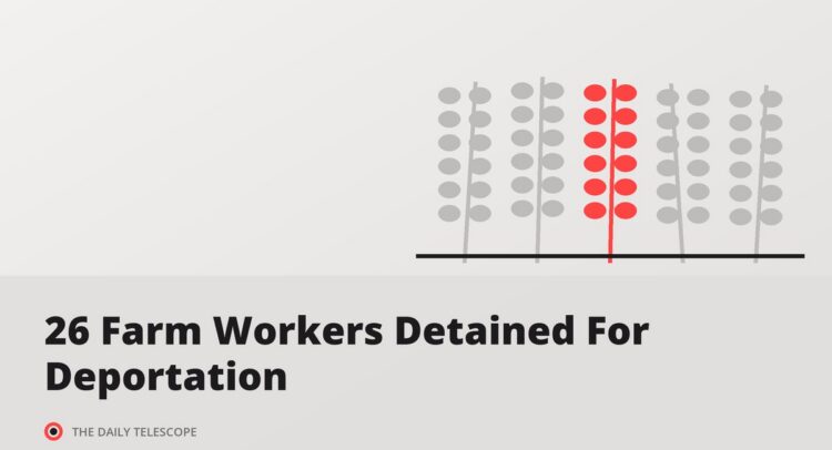 26 Farm Workers Detained For Deportation