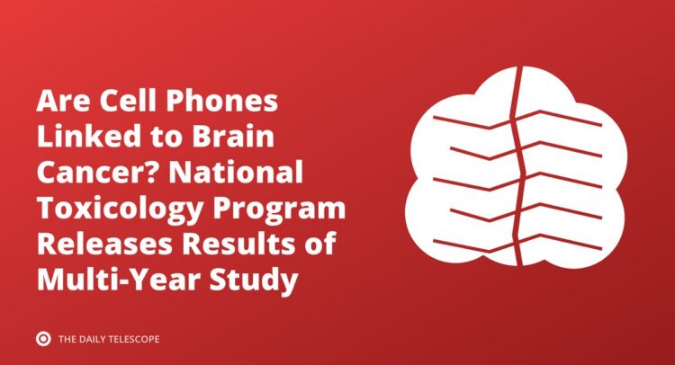 Are Cell Phones Linked to Brain Cancer? National Toxicology Program Releases Results of Multi-Year Study