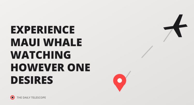 EXPERIENCE MAUI WHALE WATCHING HOWEVER ONE DESIRES