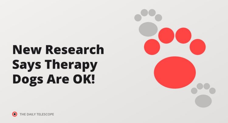 New Research Says Therapy Dogs Are OK!