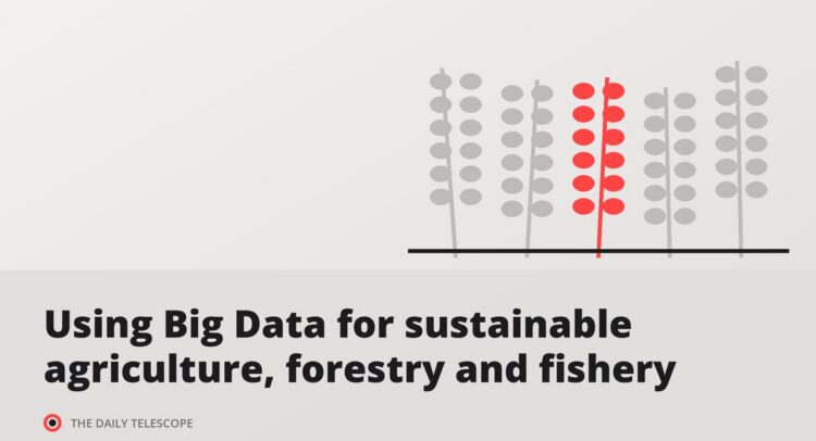 Using Big Data for sustainable agriculture, forestry and fishery